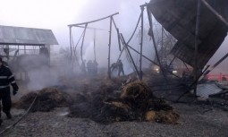 incendiu Manastirea Cucova (16)